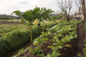 Canal de auga dos muiños dos lavadoiros