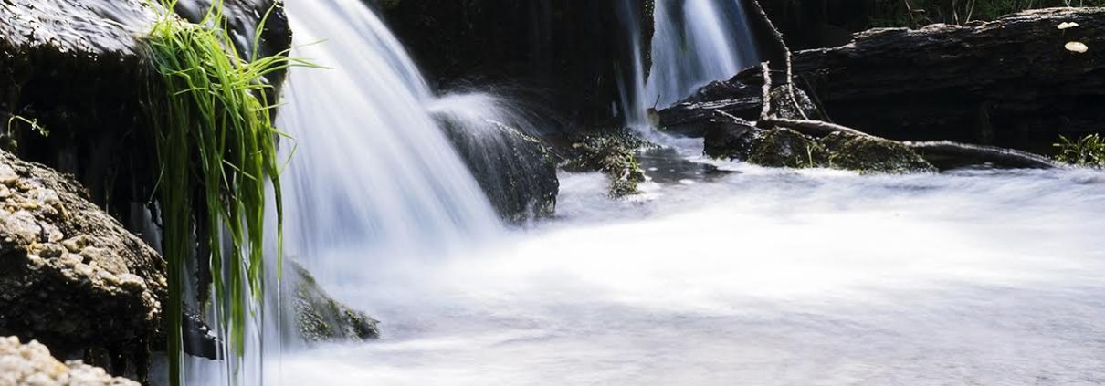O río en Conxo O río en Conxo