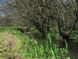 Pontella no río de Sar Pontella no río de Sar