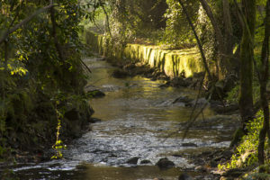 O río de Sar o seu paso polo Restollal