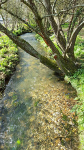 Vistas do río Sar