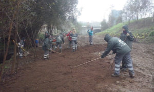 Preparación do terreo