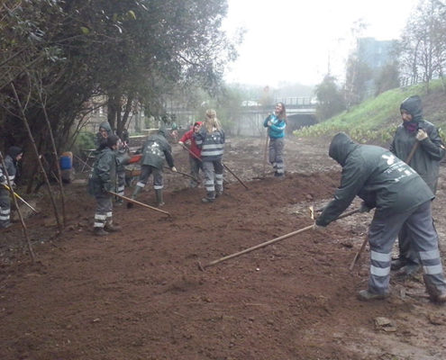 Preparación do terreo