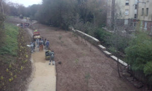 Camiño de terra