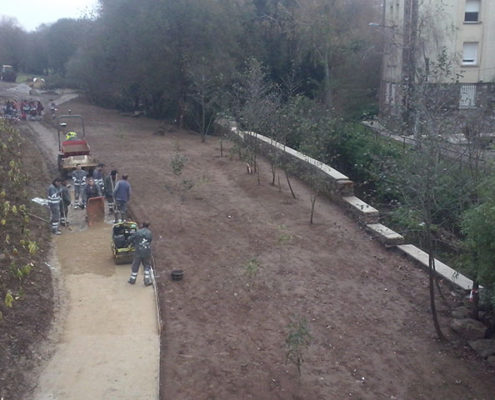 Camiño de terra
