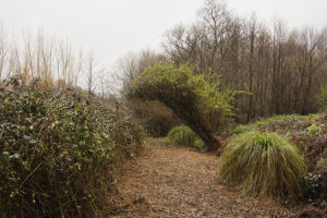 Camiño da canle dos Lavadoiros