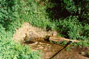 Antigua fonte dos capitáns