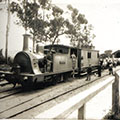 O primeiro ferrocaril O primeiro ferrocaril