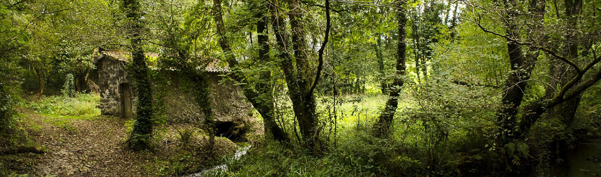 Muiño do Sisto Muiño do Sisto