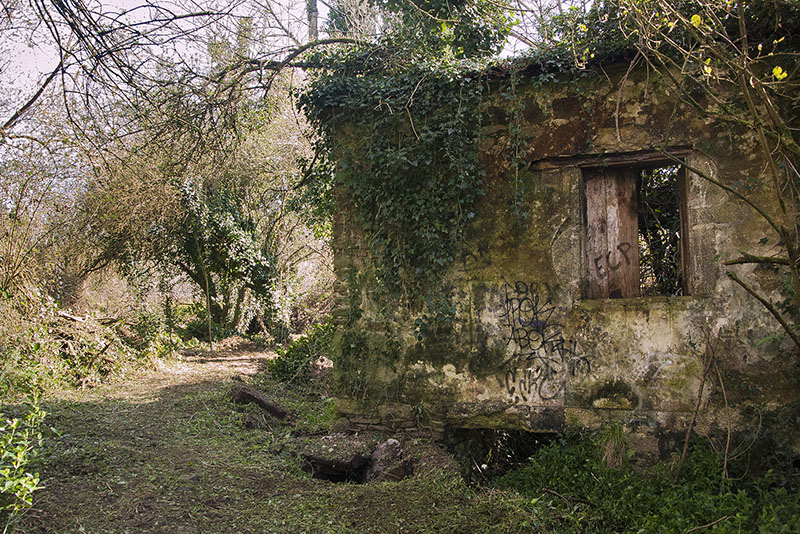 Muiño do Vilar