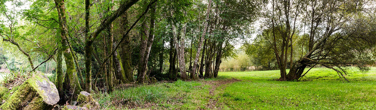 Paisaxe do Río Paisaxe do Río