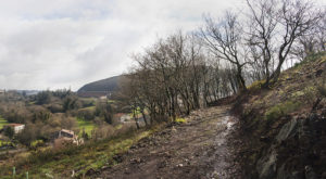 Camiño no Gaiás