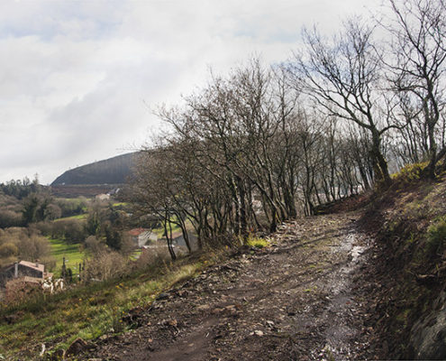 Camino en el Gaiás