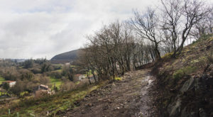 Camino no Gaiás