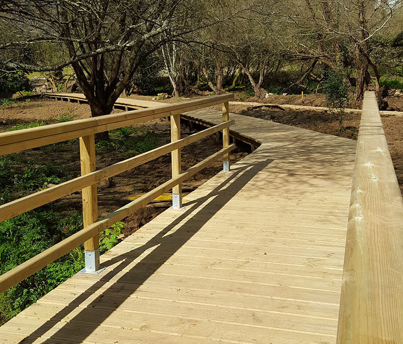 Pasarela madeira