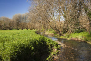 Prados pegados al río de Sar