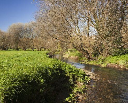 Prados pegados ao río de Sar Prados pegados al río de Sar