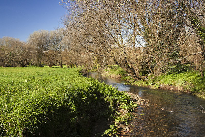 Prados pegados ao río de Sar Prados pegados al río de Sar