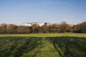 Prados da zona de O Forte