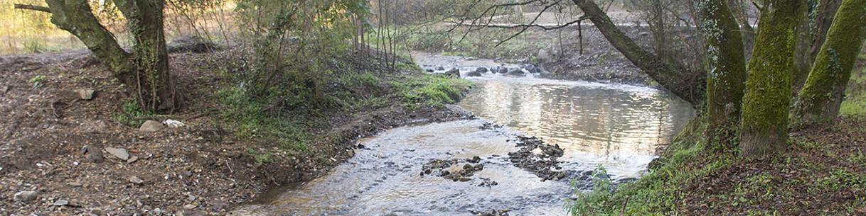 O río o seu paso por Conxo O río o seu paso por Conxo