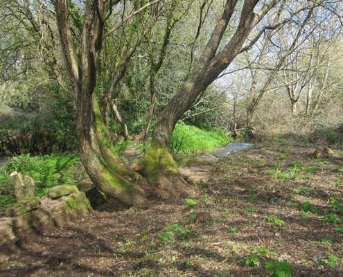 Río e restos dunha canle Río e restos dunha canle