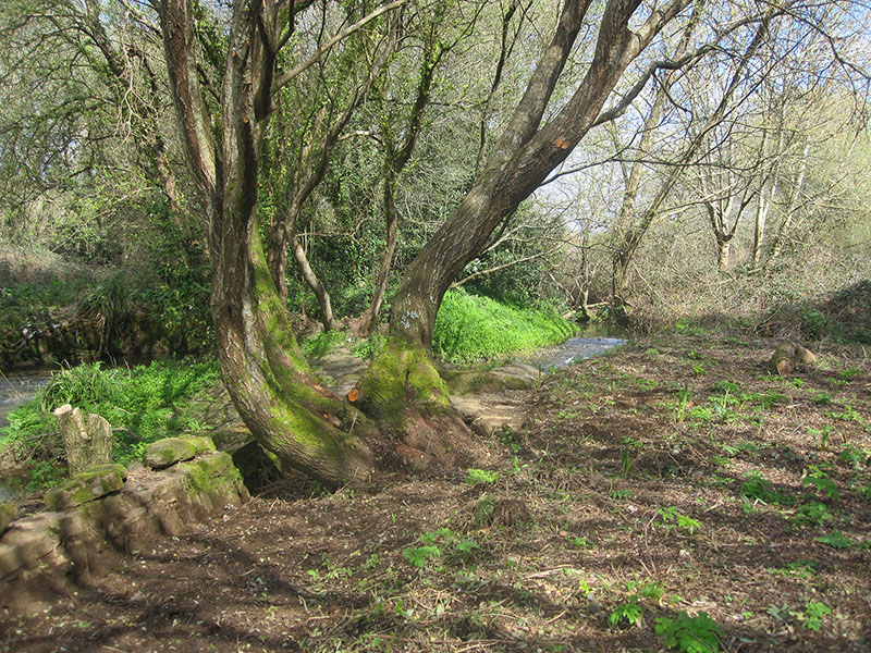 Río e restos dunha canle Río e restos dunha canle