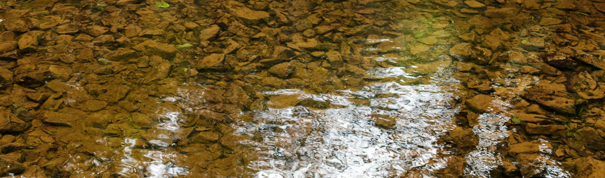 Río Río