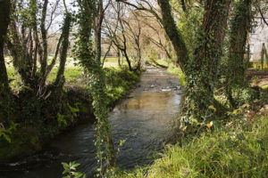 Vista do río Sar