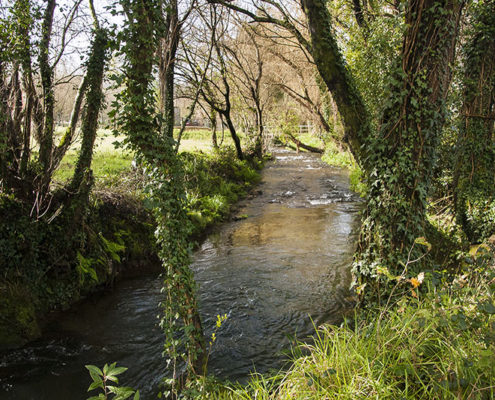 Vista del río Sar