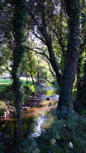 Río Sar na ponte das Brañas