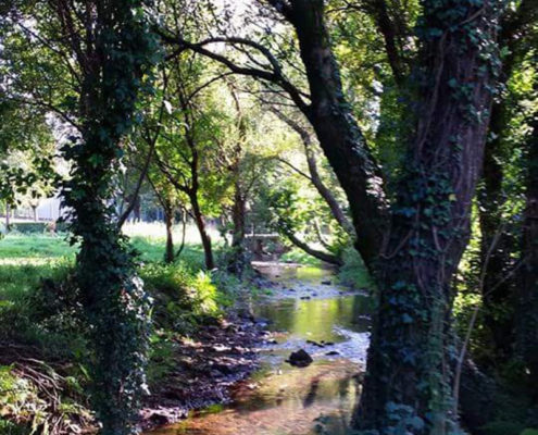 Río Sar na ponte das Brañas Río Sar na ponte das Brañas