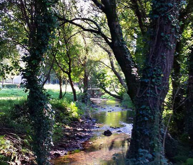 Río Sar na ponte das Brañas Río Sar na ponte das Brañas