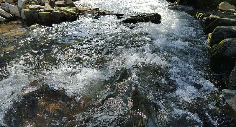 Rapidos do rio Rapidos do rio