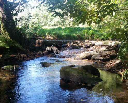 Zona da Cachoupa