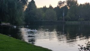 Lago do Auditorio de Galicia