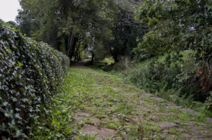 Camiño Real empedrado