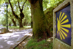 Carballeira de San Lourenzo sinal do Caminho de Fisterra