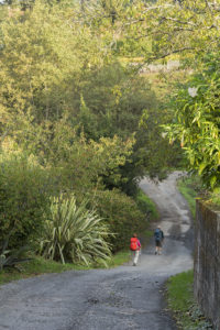 Camiño de Aldrei