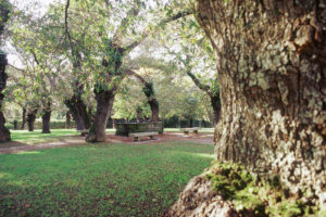 Fonte Carballeira San Lorenzo