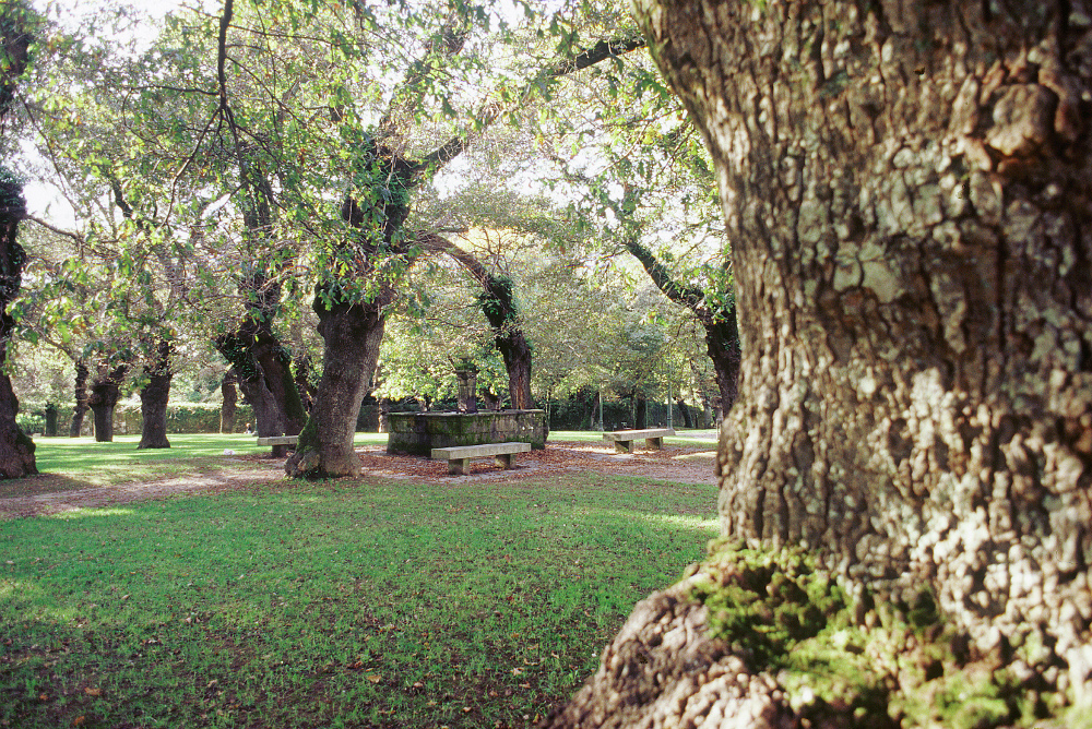 Fonte Carballeira San Lorenzo Fonte Carballeira San Lorenzo