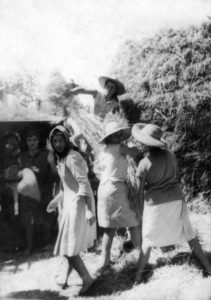 Mallas en el 1959