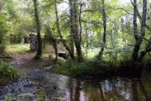Muíño río Santa Lucía