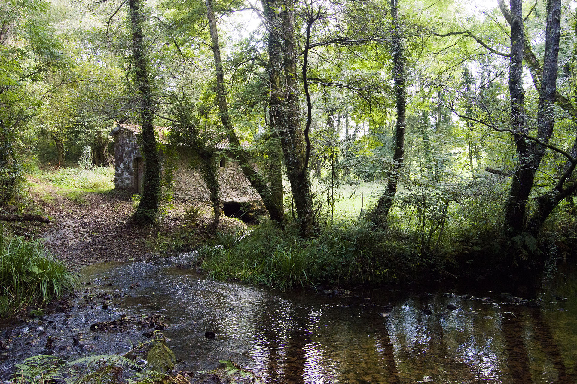 Muíño río Santa Lucía Muíño río Santa Lucía