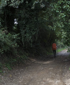Camiño hacia Angrois