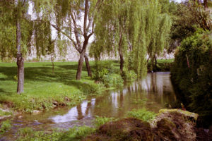 Río no Parque de Galeras Río no Parque de Galeras