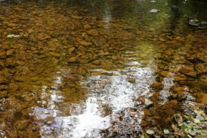 Imaxe do río