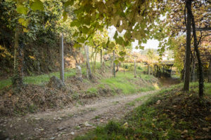 Salida de La Susana