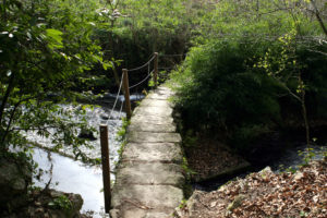 Pontella do Sarela