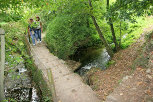 Pontella no río Sarela Pontella no río Sarela
