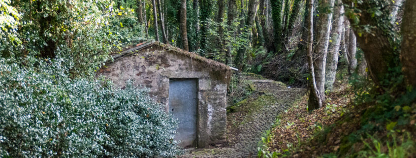 Muíño de Santa Lucía Muíño de Santa Lucía
